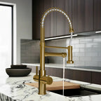 Fohen Aran Pro Brushed Zirconium Gold Kitchen Tap