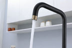 4-in-1 Fohen Fedina Touch - Matt Black & Patinated Brass Accents