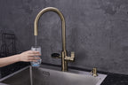 4-in-1 Hanström Nexa Digital Pullout - Antique Brass