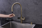 4-in-1 Hanström Nexa Digital Pullout - Antique Brass