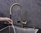 4-in-1 Hanström Nexa Digital Pullout - Antique Brass